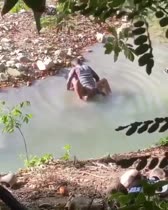 Discernir en el río
