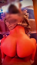 La belleza del burro