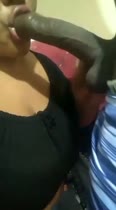Montero Gorda Monteria Areyta