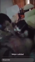 Amantes de Ealnin en lo mejor de Sitgaughra