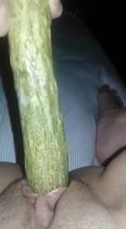 Esos perros ricos