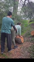 Potina toma en la jungla