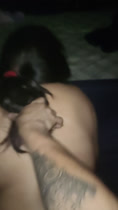 2da parte de un perro