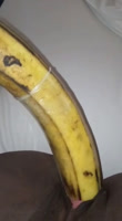 Ella ha terminado la masturbación con un gran rodillo