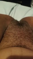 Hall muestra peludo toto
