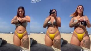 La gran camelnoe entre la playa