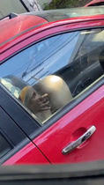 Lo mato en un auto maravilloso