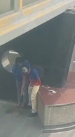 Mantuvo a los estudiantes para verter el polvo a la universidad
