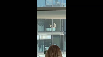 Dia alegre no escritorio