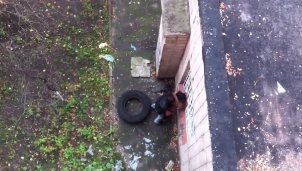 El gomero disfrutando de una prostituta