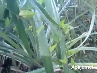 OMG Lo encontran dando etilla