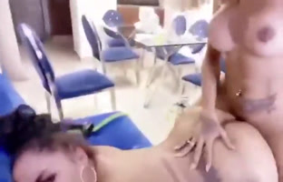 Transexual Coge fuerte a 2 malonas Dominicanas