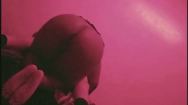 Kine Culona Extranjera (Ecuador) Paula - Troca Callao