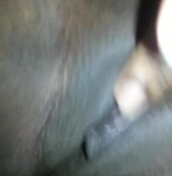 Morena Pajera De La Romana