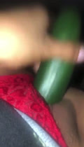 Pepino del placer