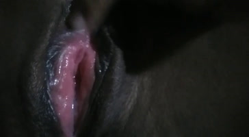 Veneca caliente en casa