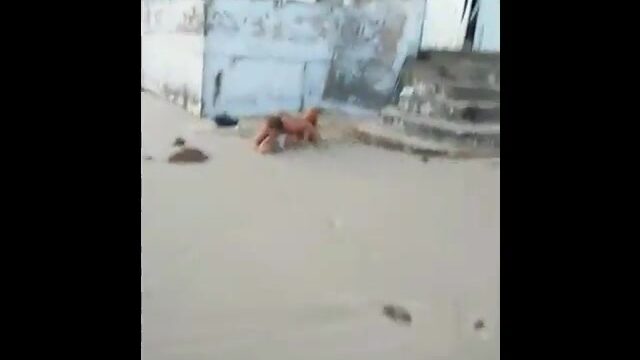 Lo graban rapando y se quedan como si nada