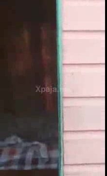 OMG Negra se desnuda en discucion con otra